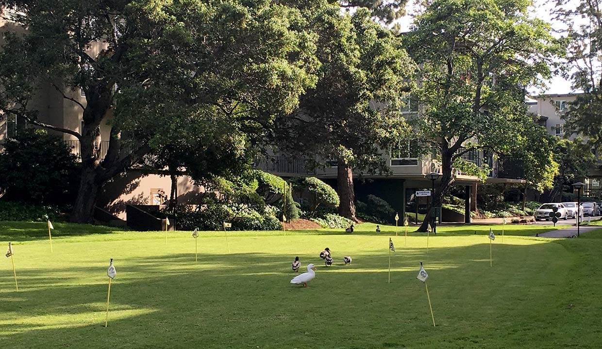 18-hole putting green