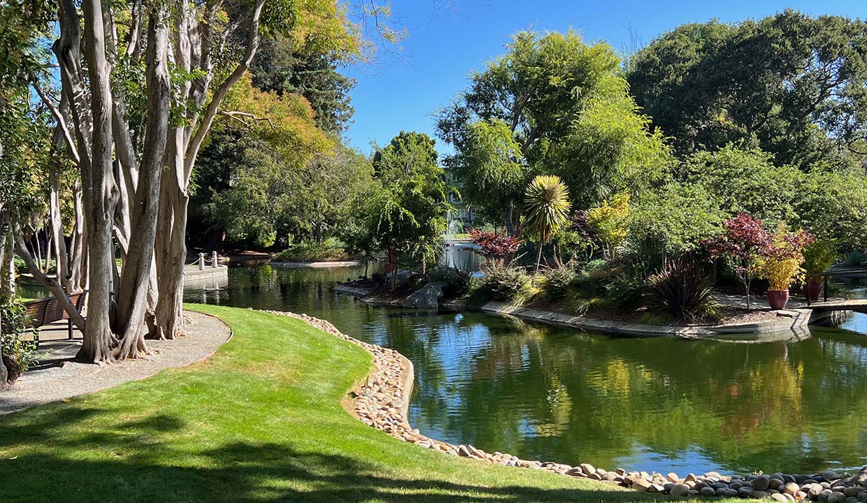 lake with duck island